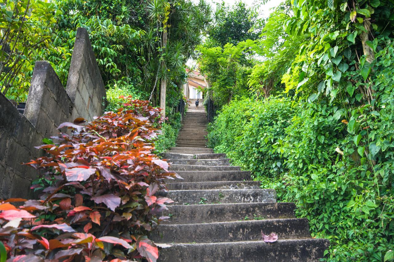 Udawatta Kele Villa แคนดี้ ภายนอก รูปภาพ