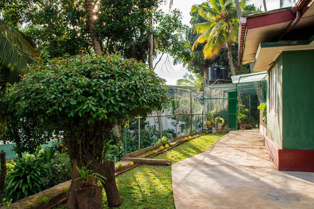 Udawatta Kele Villa แคนดี้ ภายนอก รูปภาพ